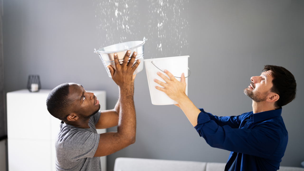 Water Damage Restoration: Emergency Steps and Professional Help